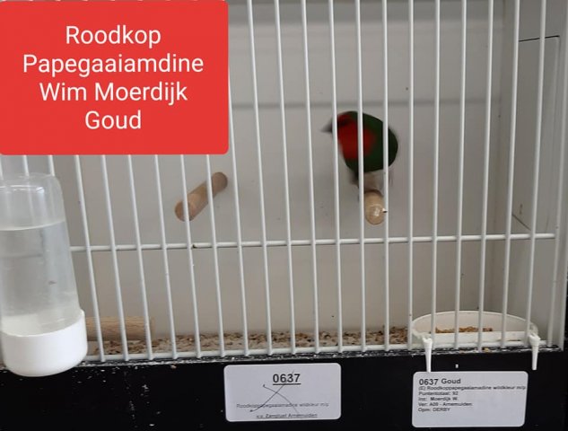 wim moerdijk 